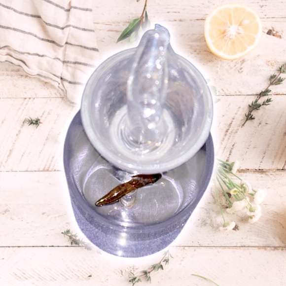 NWT Gourmet Home Glass Chili pepper Oil & Vinegar bottle 14.5 oz. - Picture 7 of 9